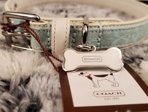 Coach Signature Leather Dog Collar and Leash Aqua